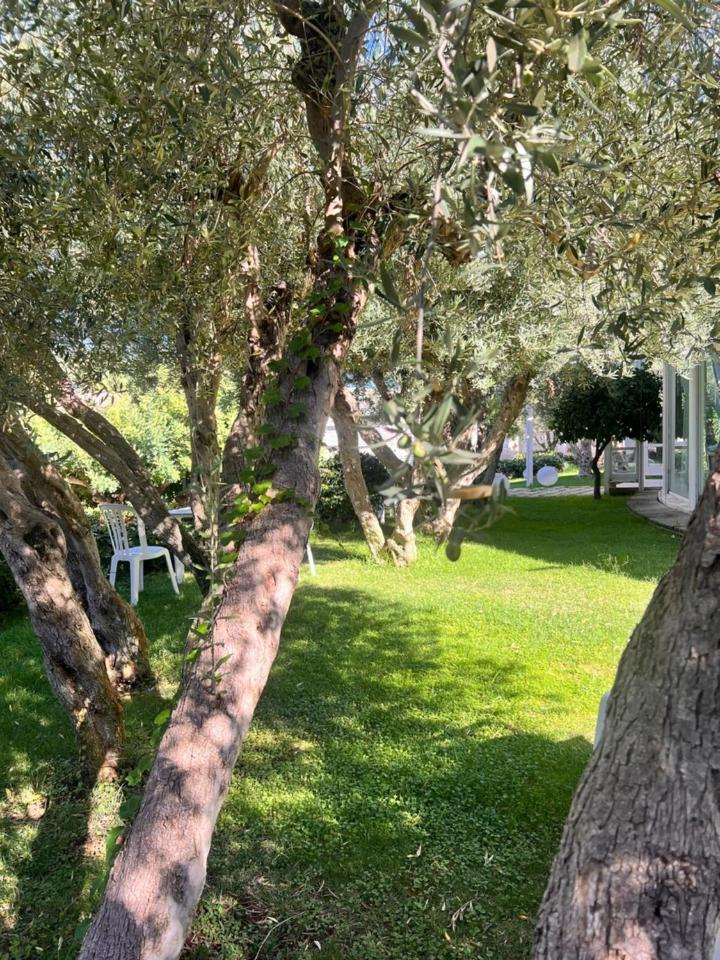 Villa Aurea Ispica Exterior photo